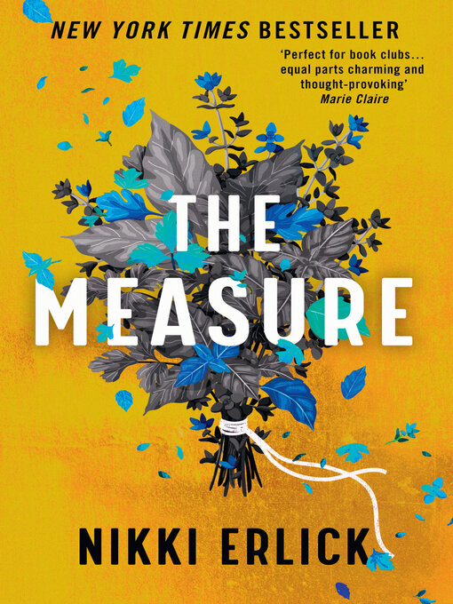 Title details for The Measure by Nikki Erlick - Wait list